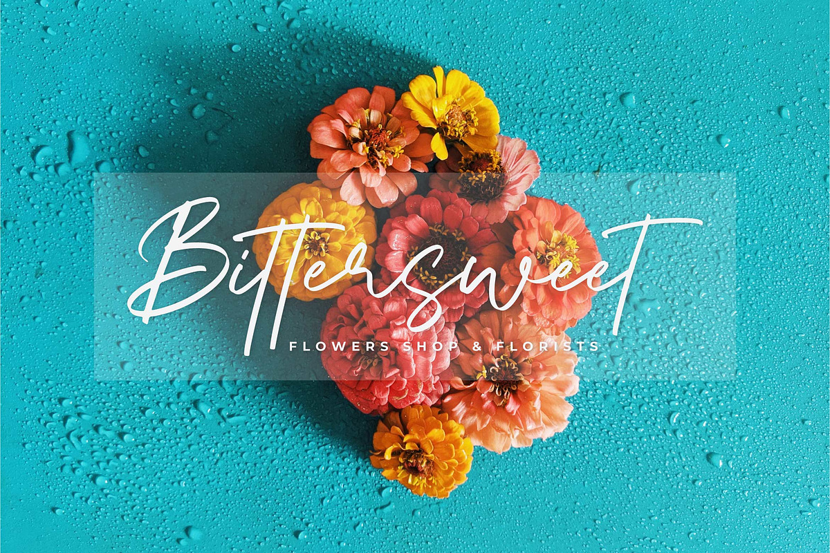 Aquatype Signature - Script Font, a Script Font by Krakenbox Studio (Photo 6 of 14)