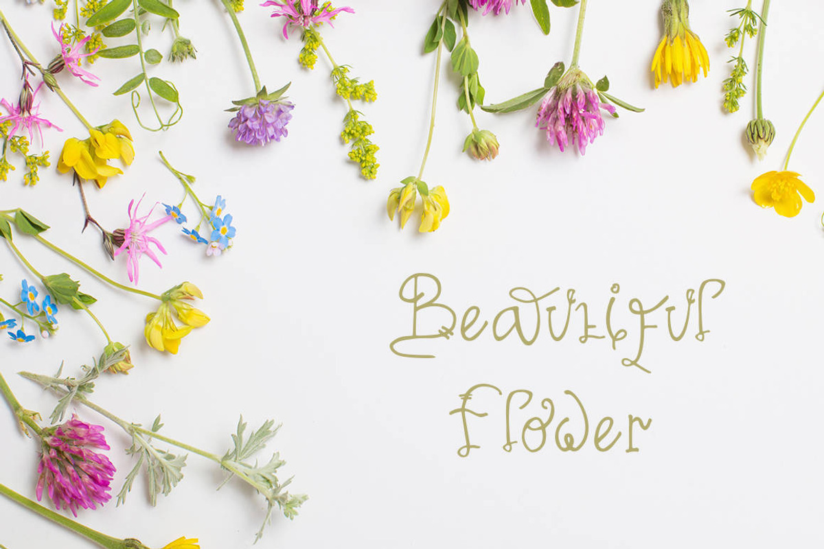 Biolati - Cute Handwritten Font, a Script Font by Naistudio (Photo 6 of 7)