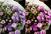 30 Flowers LUT Collection, a Preset Add-On by 3Motional (Thumbnail 7 of 10)