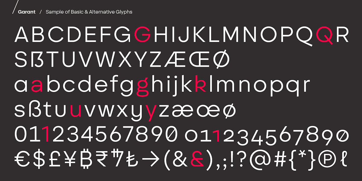 BF Garant, a Sans Serif Font by BrassFonts (Photo 7 of 14)