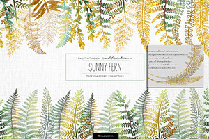 Sunny Fern Collection