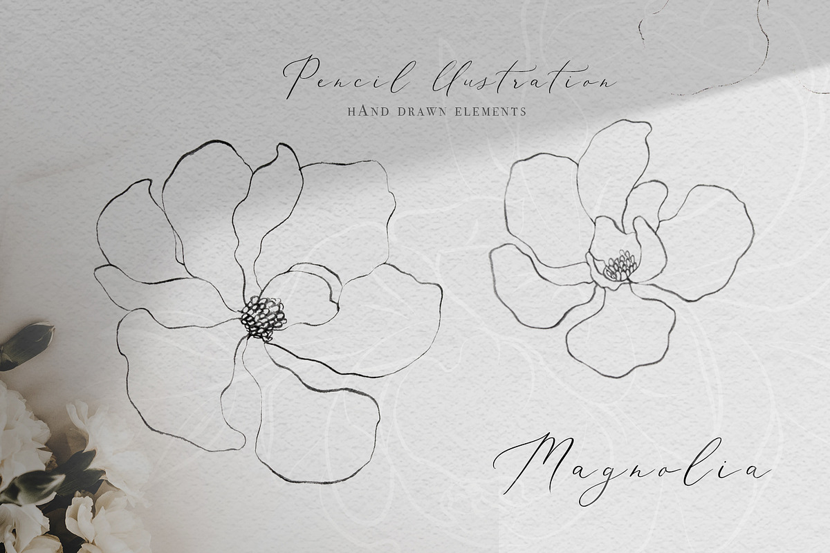 Magnolia Flower Clipart Fine art, a Decorative Illustration by WalaPalette (Photo 1 of 6)