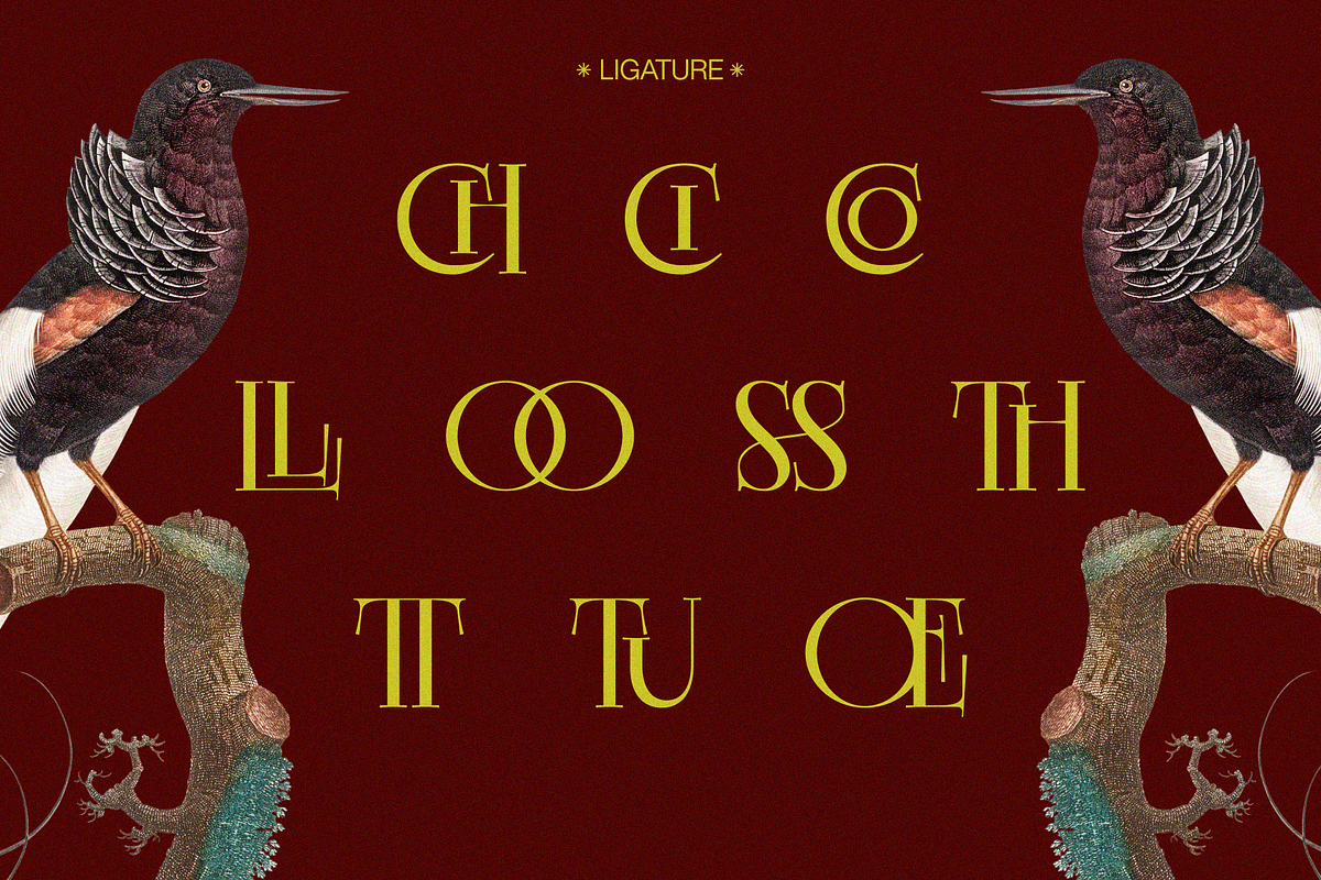 EKGIERO — Elegant Luxury Serif Font, a Serif Font by Enxyclo Studio (Photo 21 of 21)