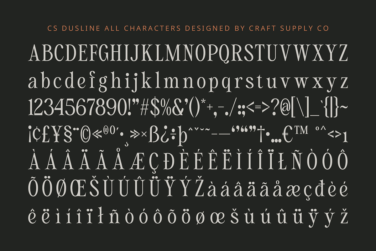 CS Dustine – Elegant Font, a Serif Font by Craft Supply Co. (Photo 8 of 8)