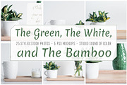 The Green, The White and The Bamboo, an Arts & Entertainment Photo by Sound of Color (Thumbnail 1 of 10)