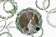 Toscana Olives Greenery, a Food Illustration by Olga Koelsch (Thumbnail 5 of 13)