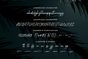 Moonlight Paradise - Script Font, a Script Font by Bluestype Studio (Thumbnail 11 of 11)