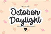 ULTIMATE .OTF FONT BUNDLE - 45 FONTS, a Script Font by Blush Font Co. (Thumbnail 10 of 13)