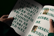 Weralionis - High Contrast Sans, a Sans Serif Font by Indotype Foundry (Thumbnail 4 of 10)