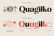 Rachstela Font Family - 14 Styles!, a Sans Serif Font by Martype (Thumbnail 13 of 15)
