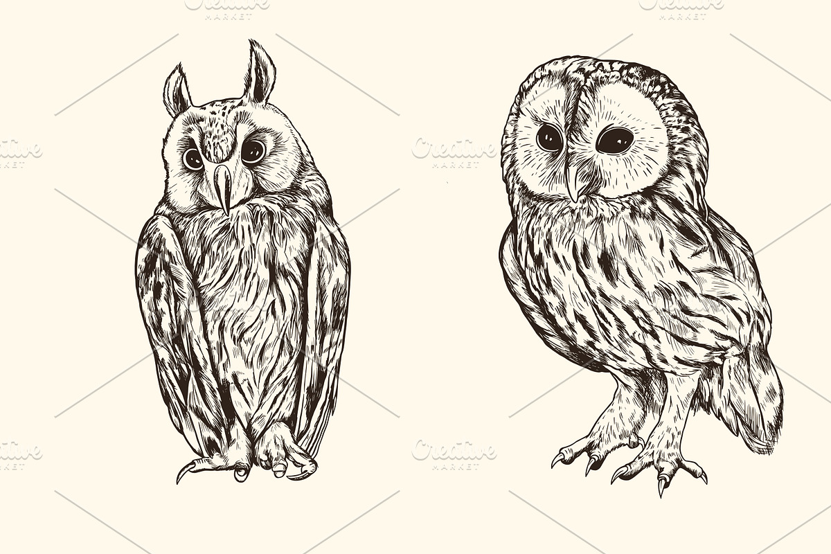 Hand Drawn Animals, an Animal Illustration by Artspace (Photo 4 of 6)