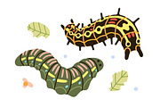 Cute caterpillars, funny larvas set, an Animal Illustration by Good Studio (Thumbnail 5 of 8)