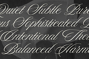 Reserve - Luxury Script Font, a Script Font by Davide Bassu (Thumbnail 12 of 12)