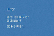 Alleycat I A Rounded Sans Serif Font, a Sans Serif Font by Taylor Penton (Thumbnail 3 of 3)