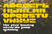 Dumpie Typeface, a Font by evemiriam (Thumbnail 6 of 6)