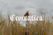 ED Lacour - Blackletter Typeface, a Blackletter Font by Emyself Design (Thumbnail 7 of 12)