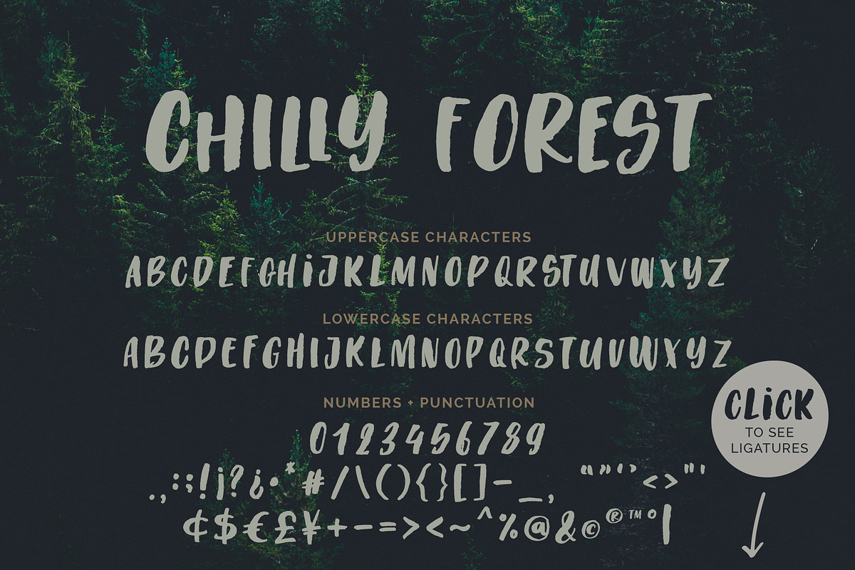 Chilly Forest // All Caps Textured preview 8