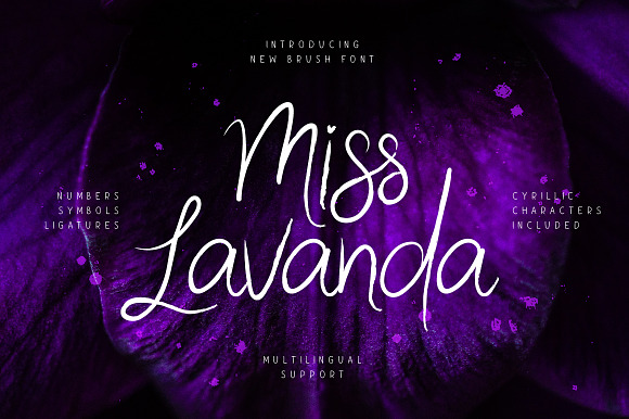 Miss Lavanda preview 8