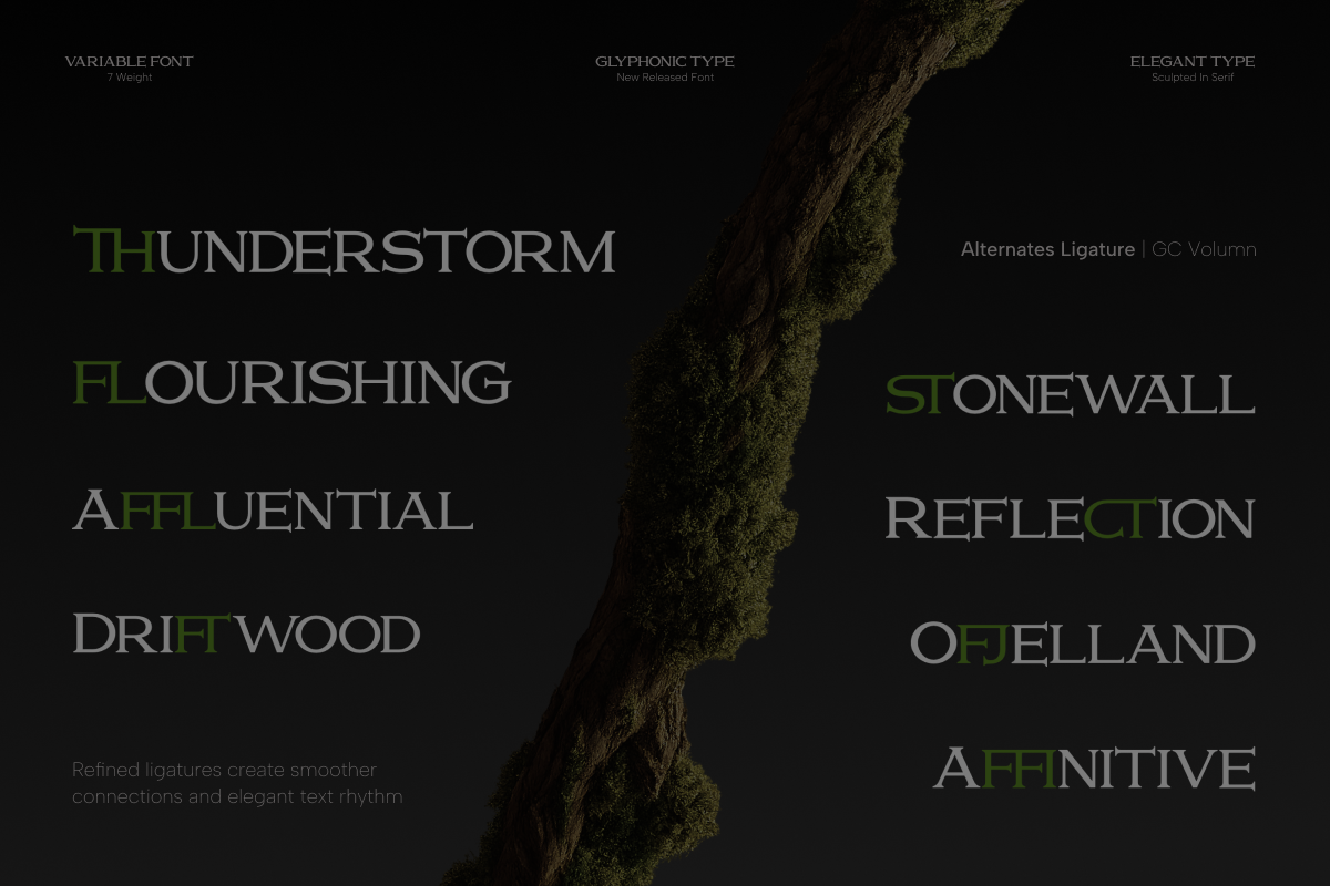 GC Volumn - Elegant Serif Typeface, a Serif Font by Glyphonic (Photo 4 of 15)
