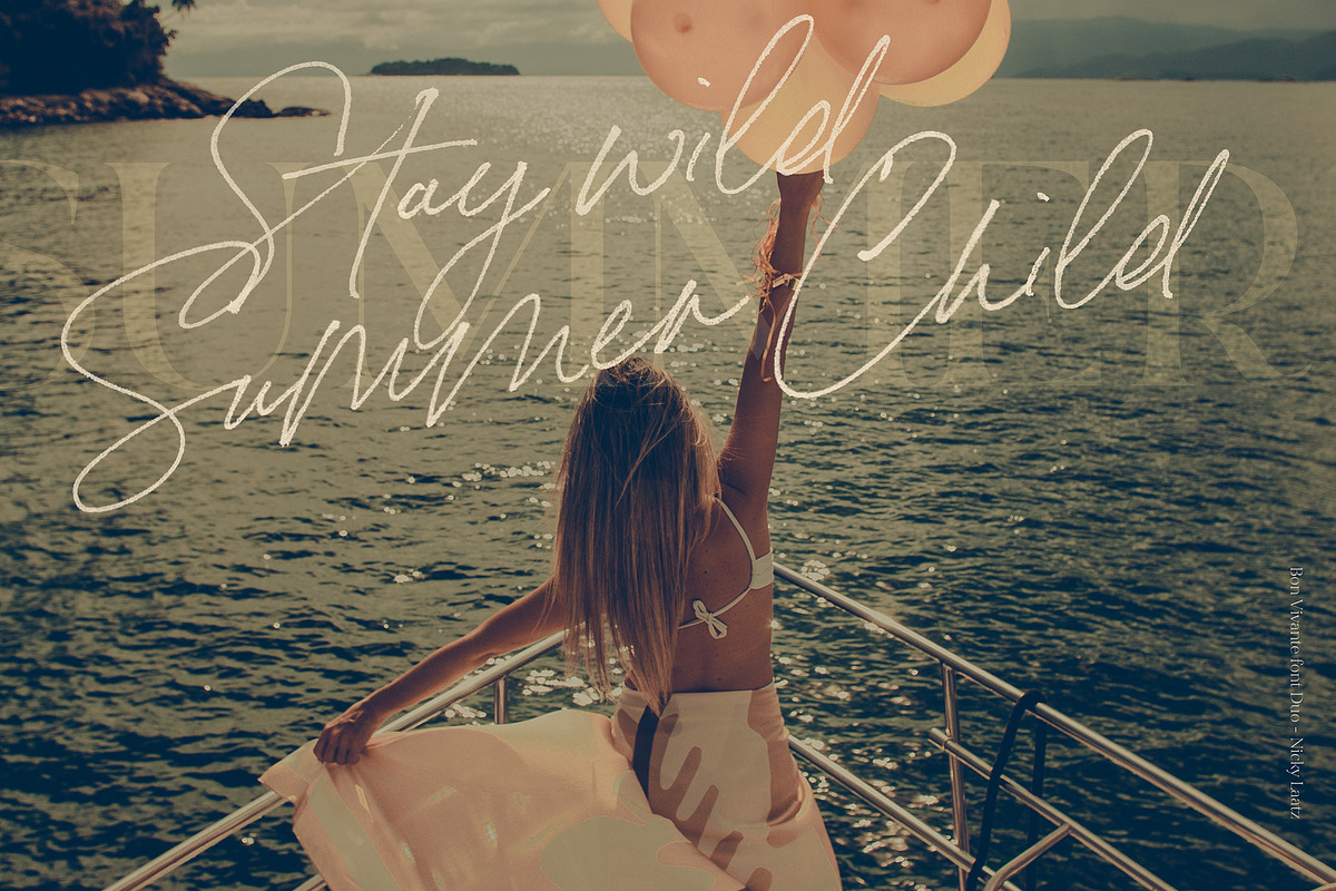 Bon Vivant Collection, a Serif Font by Nicky Laatz (Photo 38 of 44)