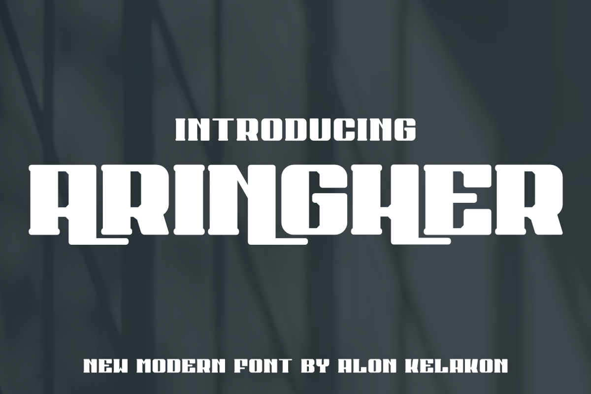 Aringher, a Serif Font by alon kelakon (Photo 1 of 4)