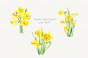 Watercolor Sunny Daffodils