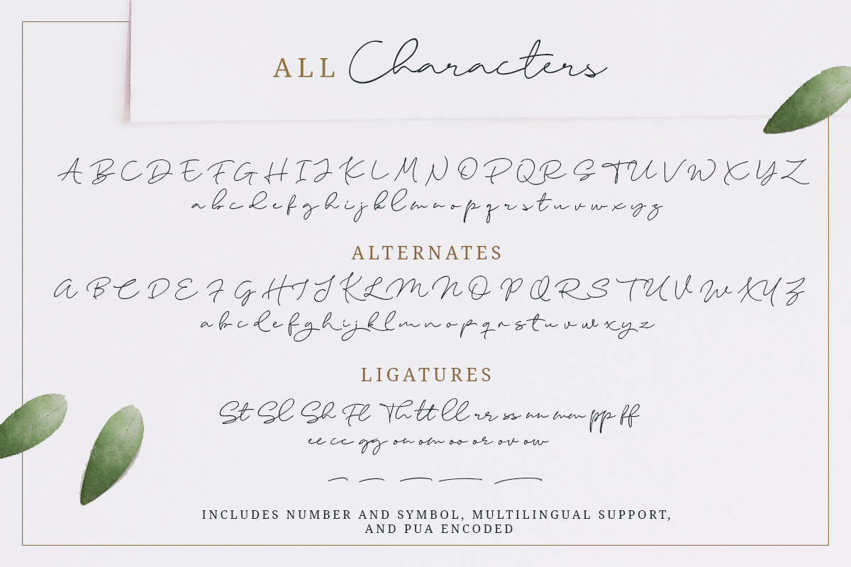 Elaine Hanks (+Feminine Logo Pack), a Script Font by Sarid Ezra (Photo 9 of 10)
