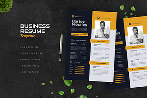 Business Deep Resume