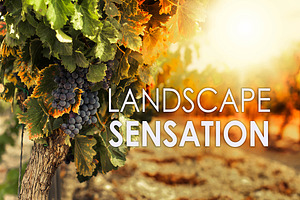 14 Landscape Sensation Presets