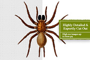 Vintage Bugs Digital Collage Pack, an Object Graphic by Collage Supply Co (Thumbnail 2 of 3)