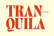 West West Condensed Serif, a Serif Font by Fenotype (Thumbnail 17 of 18)