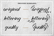Bornena, a Handwritten Font by PutraCetol Studio (Thumbnail 5 of 14)