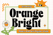 Orange Bright Bold Serif Font, a Serif Font by Heinzel Std (Thumbnail 1 of 13)