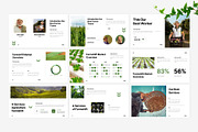 Minimalist Agriculture Template, a Presentation Template by Eklip Studio (Thumbnail 3 of 6)