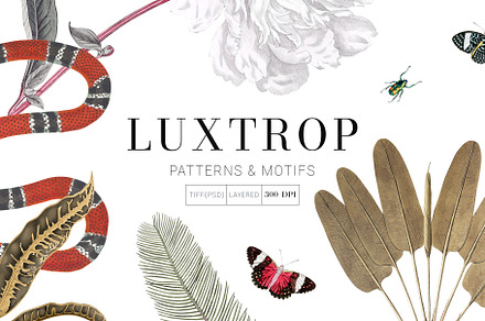 La Vie Marine!, a Pattern Graphic by Pink Linen