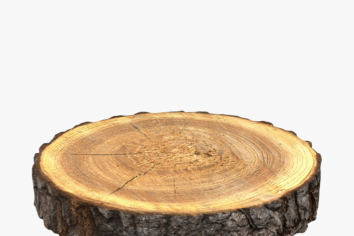 Wood Log Slice, an Environmental 3D Model by 3D_PikNik (Photo 1 of 15)
