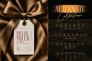 Saktere - Elegant Serif and Script, a Serif Font by Burntilldead (Thumbnail 7 of 12)