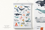 Watercolor Sea collection, an Animal Illustration by annartdreams (Thumbnail 12 of 13)