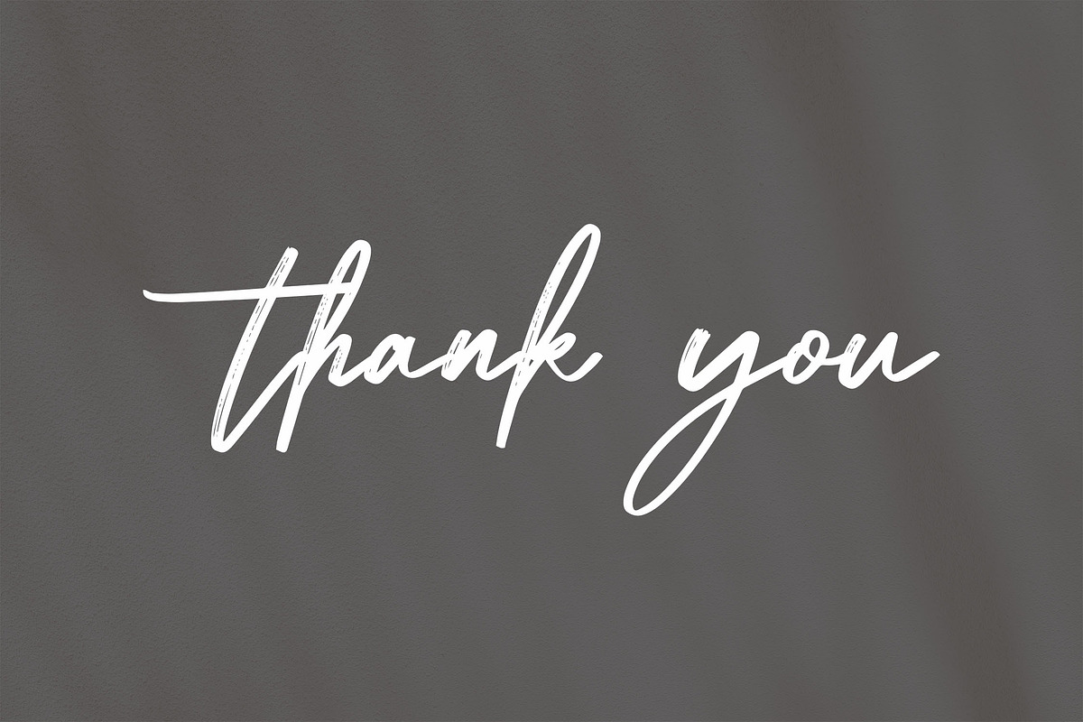 Metadiva Brush Script Font, a Script Font by NTC Graphic (Photo 7 of 7)