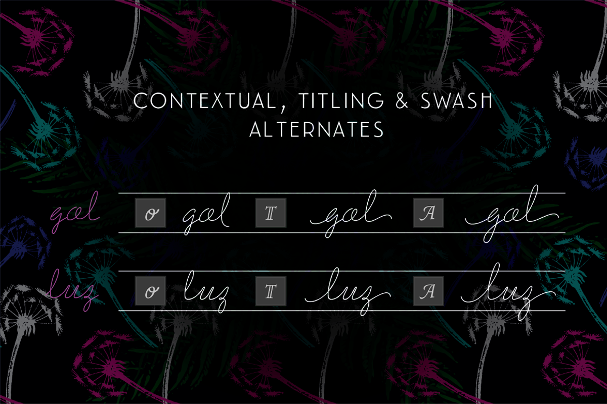 BLACK FRIDAY Delirio Font Family, a Script Font by graffistyling (Photo 16 of 20)