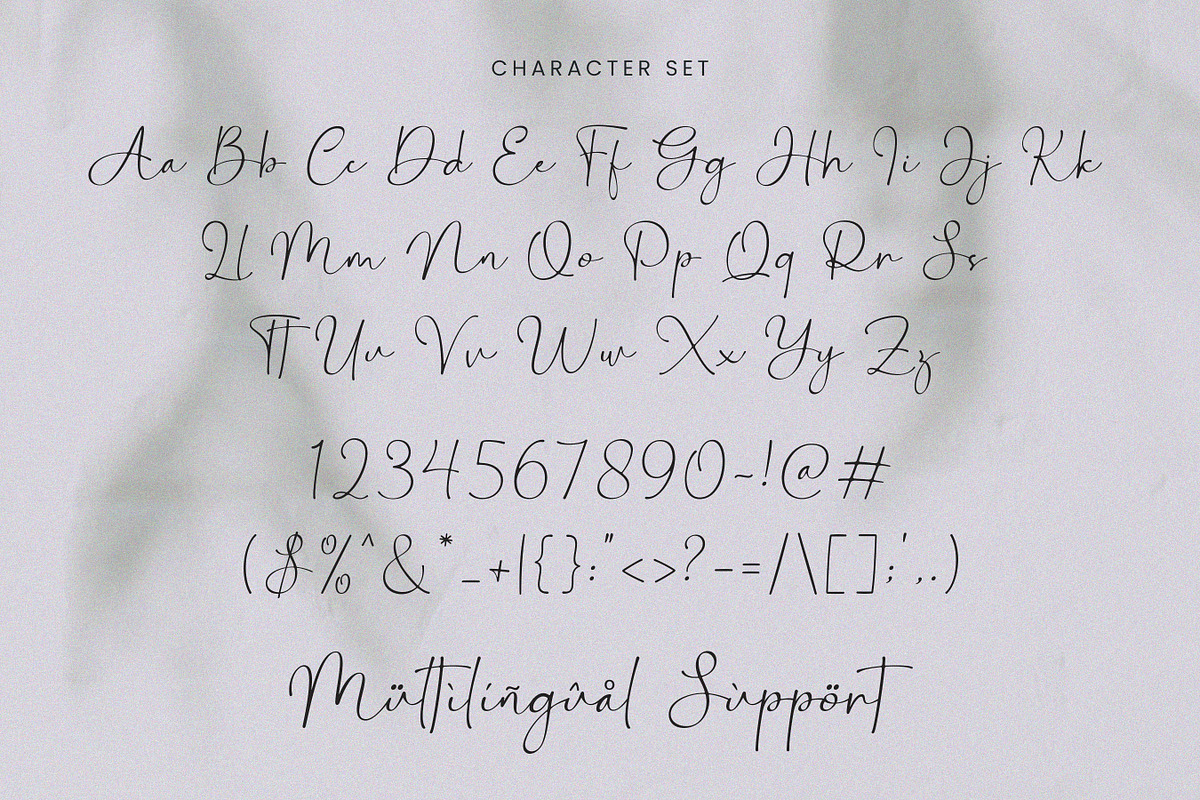 Bontana - Elegant Calligraphy Font, a Script Font by Flawless And Co (Photo 9 of 10)