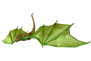 3DFoin - Dragon Bat