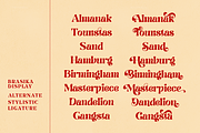 Brasika, a Font by nurrontype (Thumbnail 14 of 16)