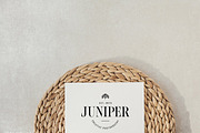 Mega Logo Bundle For Illustrator AI, a Branding & Logo Template by Forth and Wild (Thumbnail 15 of 16)