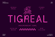 CS Argue Stamp, a Sans Serif Font by Craft Supply Co. (Thumbnail 6 of 8)