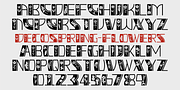 DecoSpring, a Symbol Font by Ingrimayne Type (Thumbnail 6 of 10)