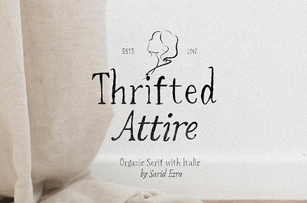 Thrifted Attire - Organic Serif, a Serif Font by Sarid Ezra