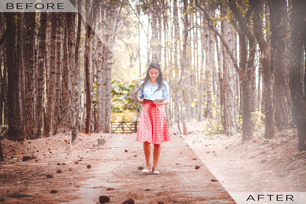 Fog and Mist Lightroom Presets, a Plug-in Add-On by Click Click Studio (Photo 8 of 9)