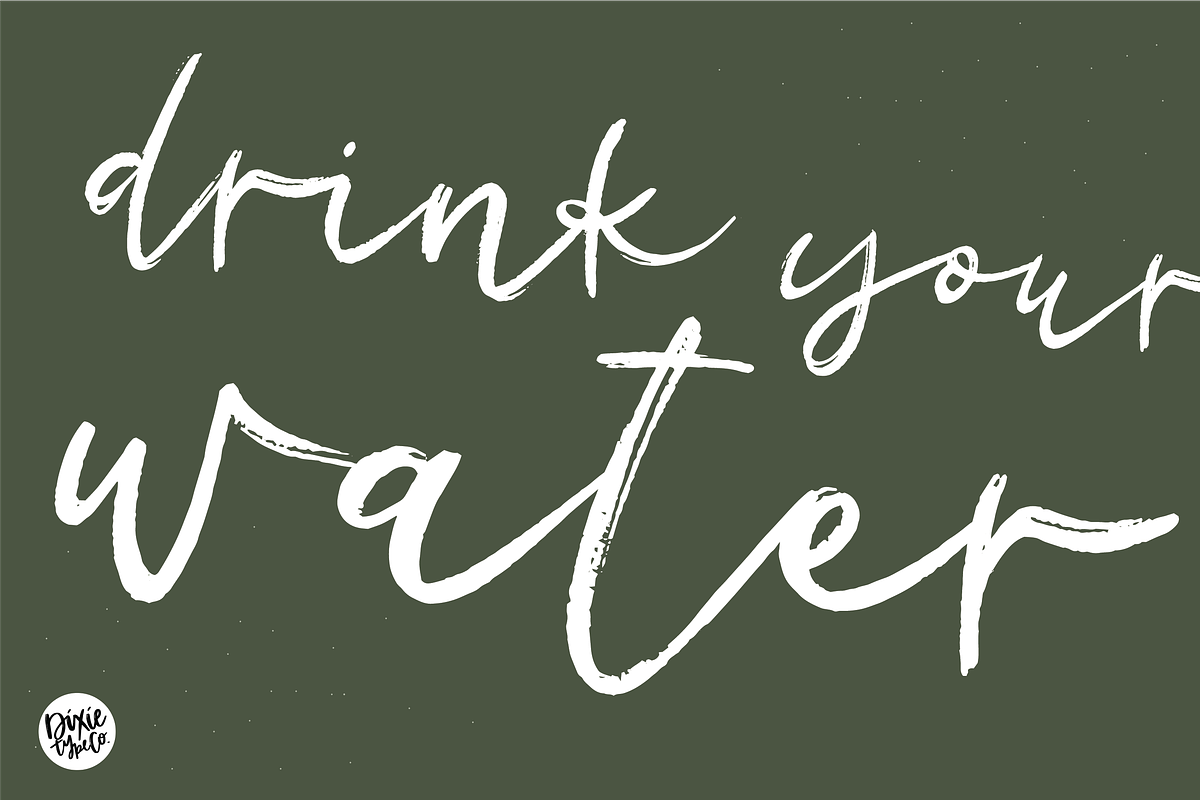 SAGUARO Distressed Brush Script preview 6