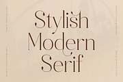 Bastiken Stylish Modern Serif, a Serif Font by Storytype Studio (Thumbnail 10 of 15)